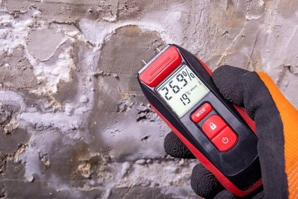 Best Emergency Mold Removal  in Pendleton, OR
