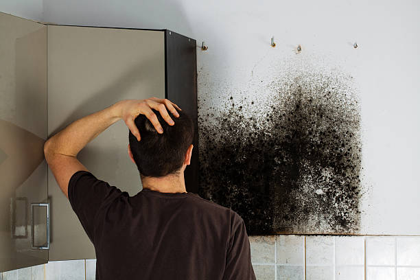 Professional Mold Removal in Pendleton, OR