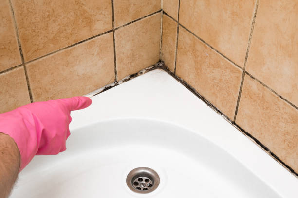 Best Mold Removal Near Me  in Pendleton, OR